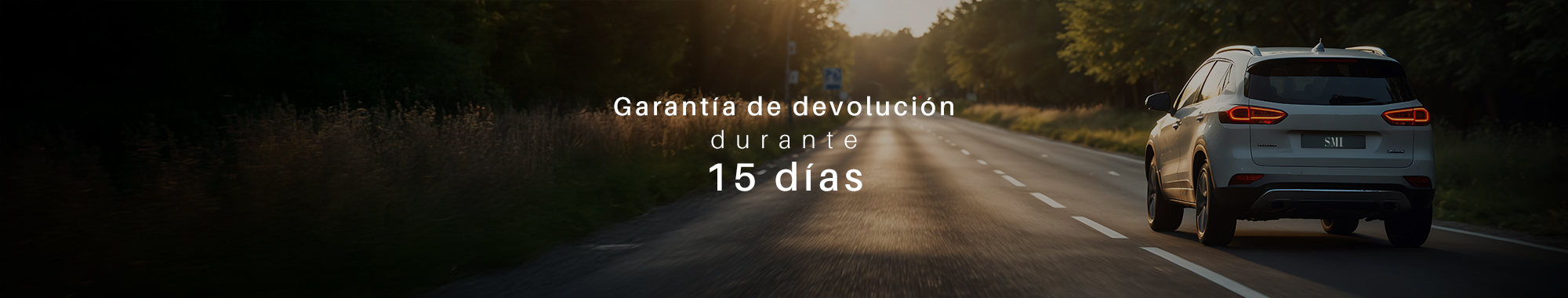 Sotileza Motor Ibérica banner