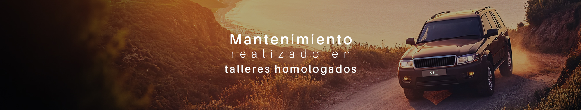 Sotileza Motor Ibérica banner
